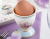EL-R1337/SPBL Блюдо пасхальное для 6 яиц, 21 см, Easy Life, Spring Bloom, декор Цыплята и цветы EL-R1337/SPBL Блюдо пасхальное для 6 яиц, 21 см, Easy Life, Spring Bloom, декор Цыплята и цветы